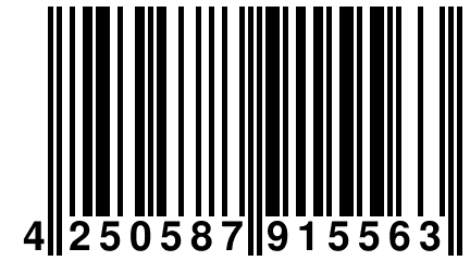 4 250587 915563