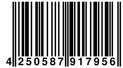 4 250587 917956