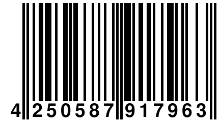 4 250587 917963