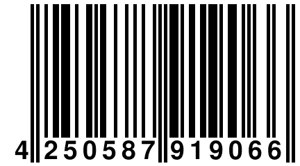 4 250587 919066