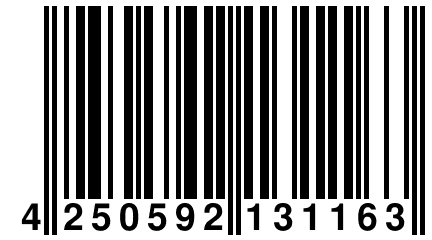 4 250592 131163