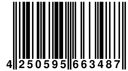 4 250595 663487