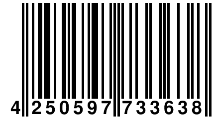 4 250597 733638