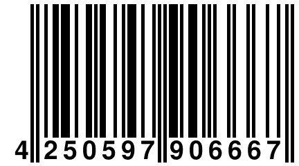 4 250597 906667