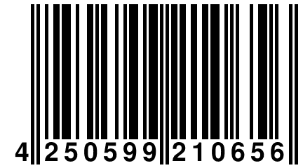 4 250599 210656