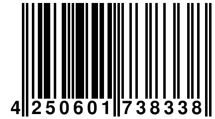 4 250601 738338