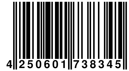 4 250601 738345