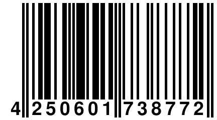 4 250601 738772