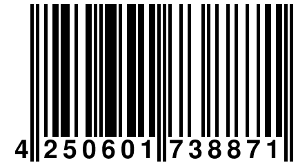4 250601 738871