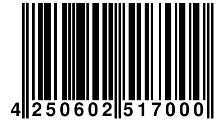 4 250602 517000