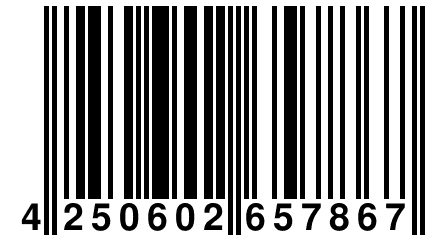 4 250602 657867