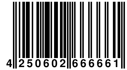 4 250602 666661