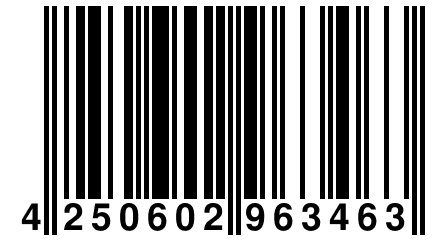 4 250602 963463