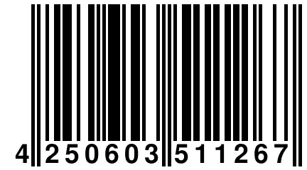 4 250603 511267