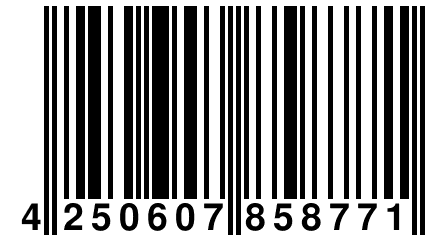 4 250607 858771