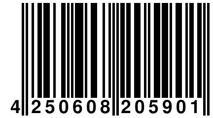 4 250608 205901