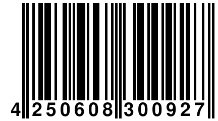 4 250608 300927