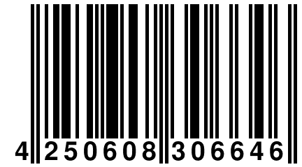 4 250608 306646