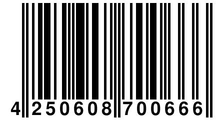 4 250608 700666