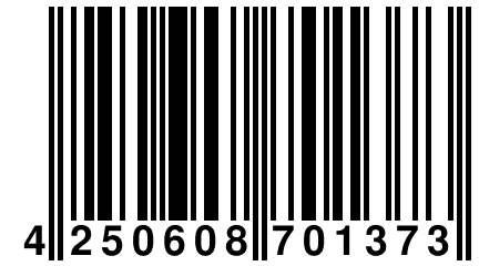 4 250608 701373