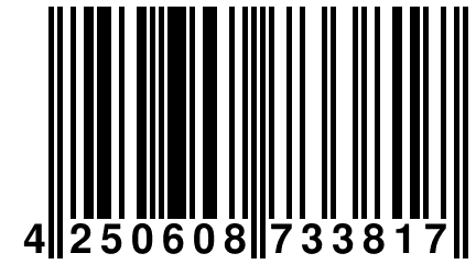4 250608 733817