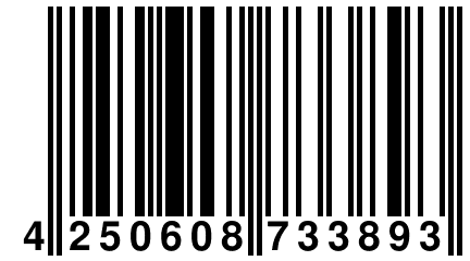4 250608 733893