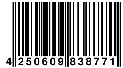 4 250609 838771