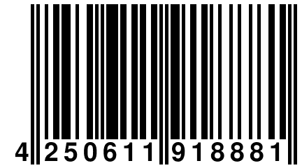 4 250611 918881
