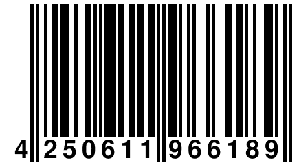 4 250611 966189