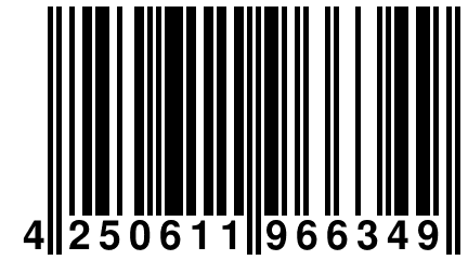 4 250611 966349