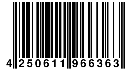 4 250611 966363
