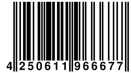 4 250611 966677