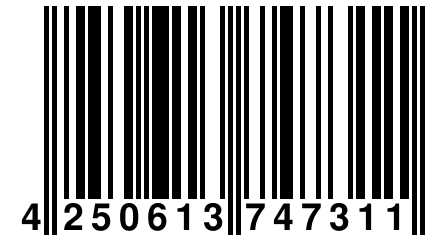 4 250613 747311