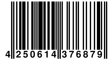 4 250614 376879