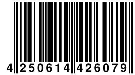 4 250614 426079