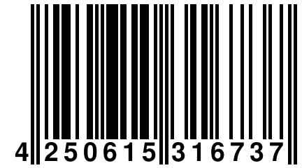 4 250615 316737