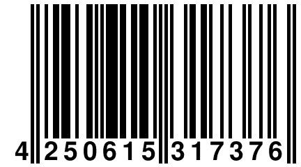 4 250615 317376