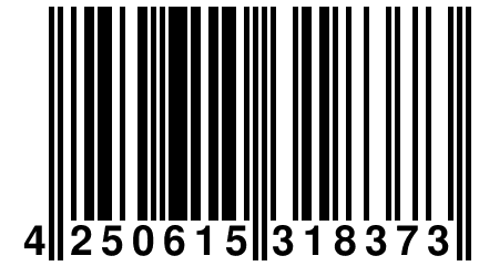 4 250615 318373