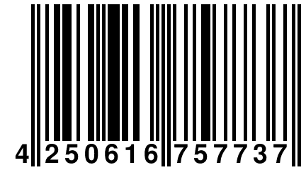 4 250616 757737