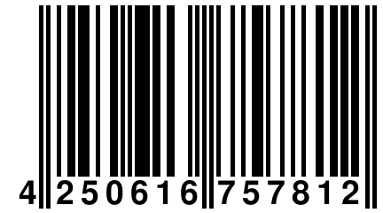 4 250616 757812