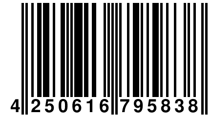 4 250616 795838