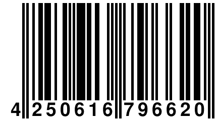 4 250616 796620