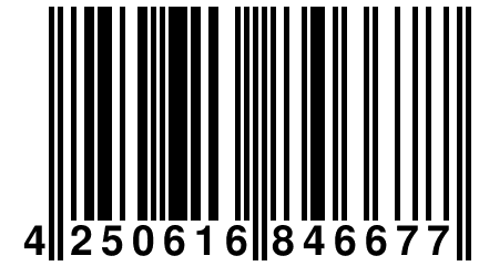 4 250616 846677