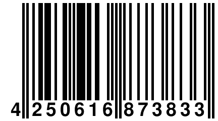 4 250616 873833