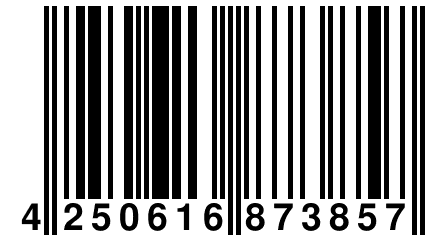 4 250616 873857