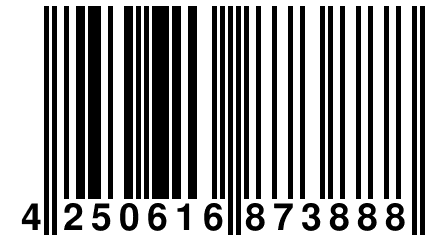 4 250616 873888