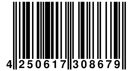 4 250617 308679