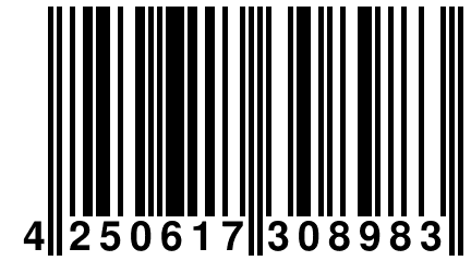 4 250617 308983