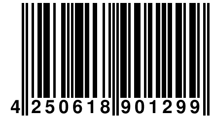 4 250618 901299