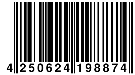 4 250624 198874